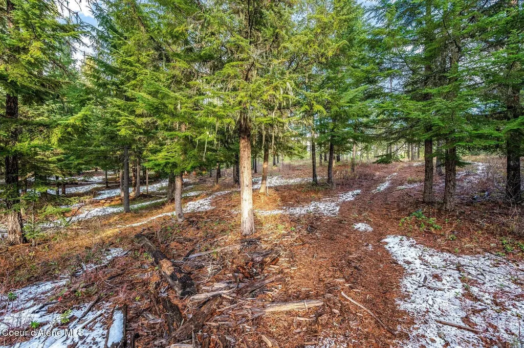 Lot 1 (10 Acres) Reeder Bay Road Nordman ID 83848
