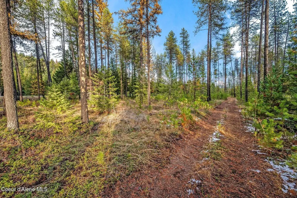 Lot 1 (10 Acres) Reeder Bay Road Nordman ID 83848