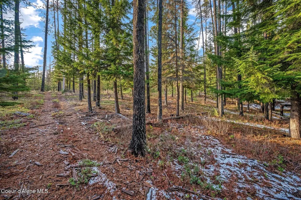 Lot 1 (10 Acres) Reeder Bay Road Nordman ID 83848