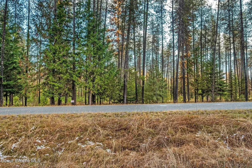 Lot 1 (10 Acres) Reeder Bay Road Nordman ID 83848