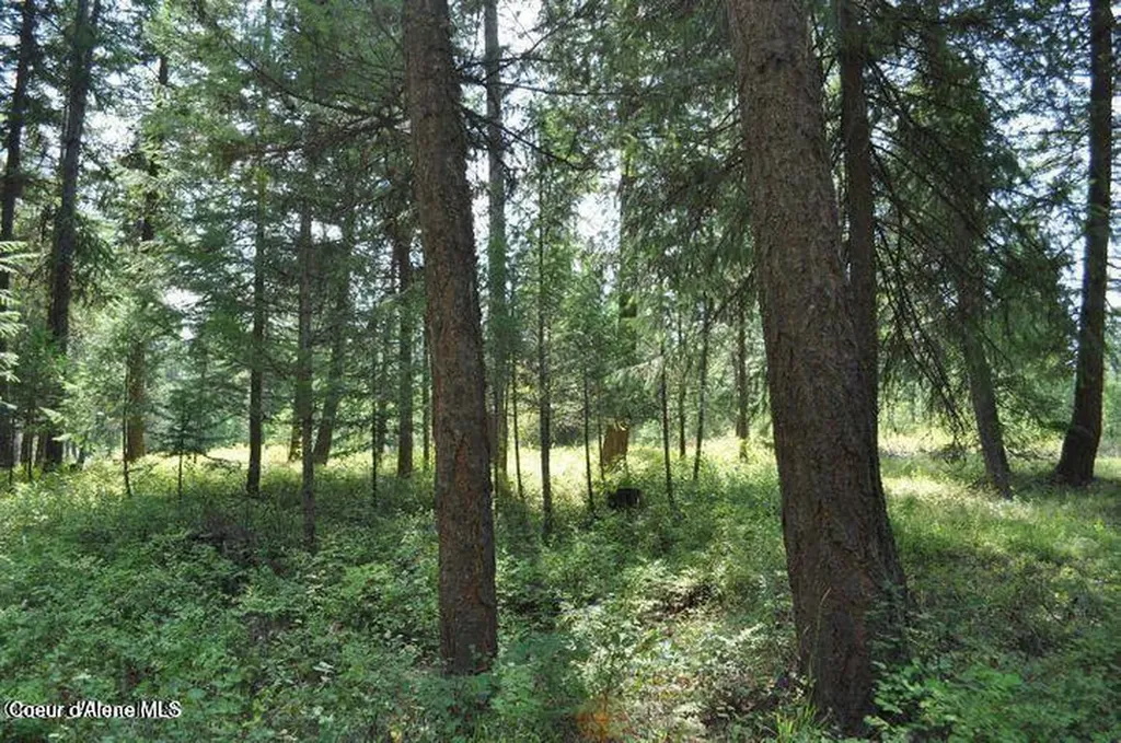 39 Forest Ridge Road Blanchard ID 83804