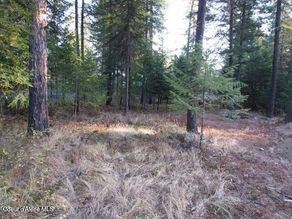 39 Forest Ridge Road Blanchard ID 83804