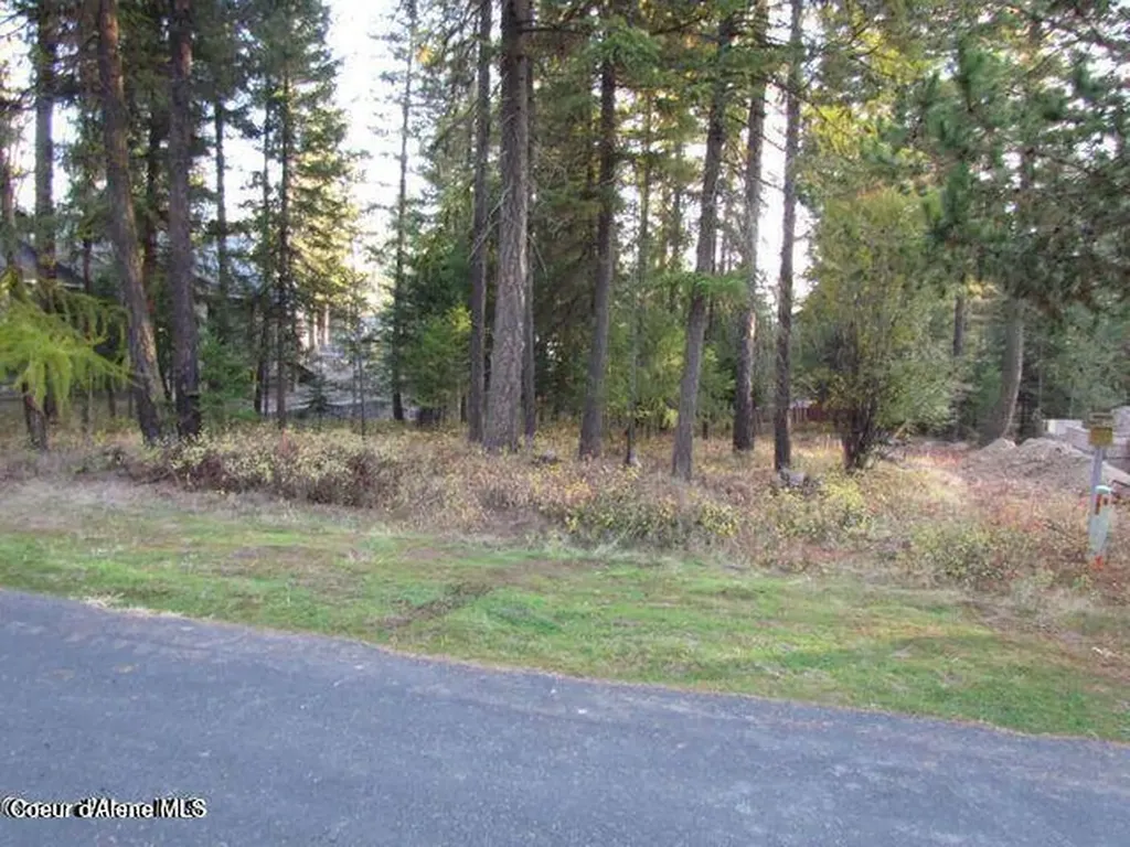 39 Forest Ridge Road Blanchard ID 83804