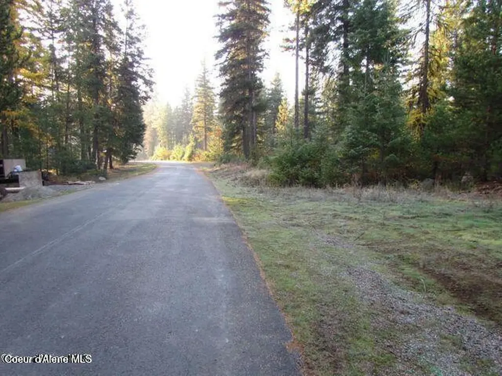 39 Forest Ridge Road Blanchard ID 83804