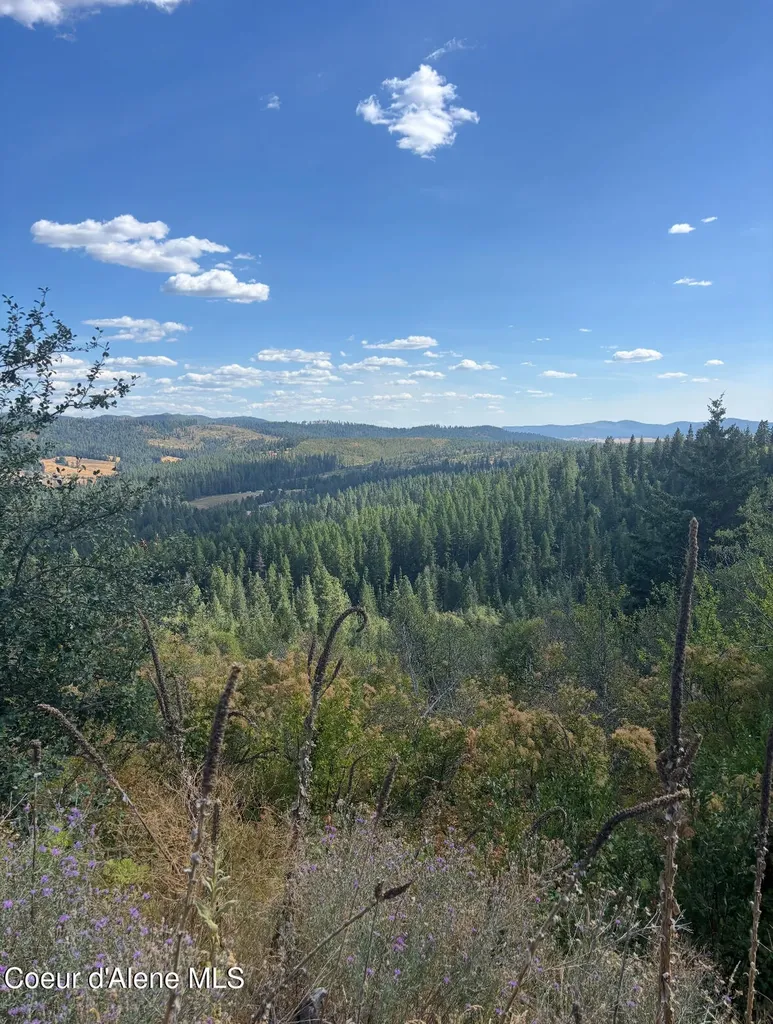 14.75 Acre Treetop Lane Parcel 2 Plummer ID 83851