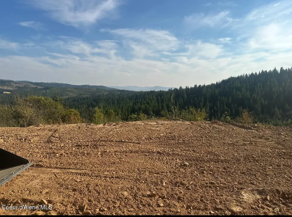14.75 Acre Treetop Lane Parcel 2 Plummer ID 83851