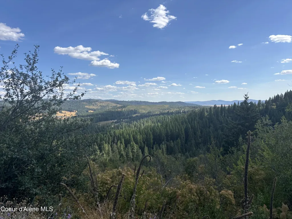 14.75 Acre Treetop Lane Parcel 2 Plummer ID 83851