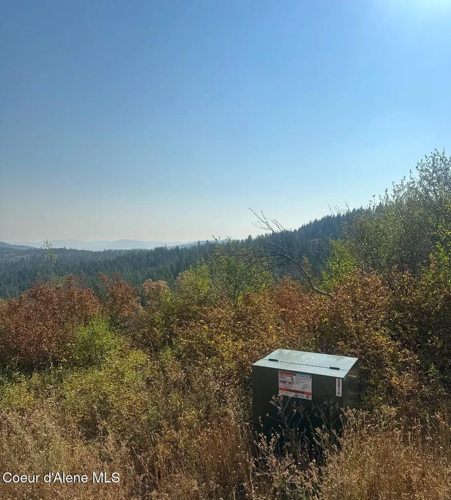 14.75 Acre Treetop Lane Parcel 2 Plummer ID 83851
