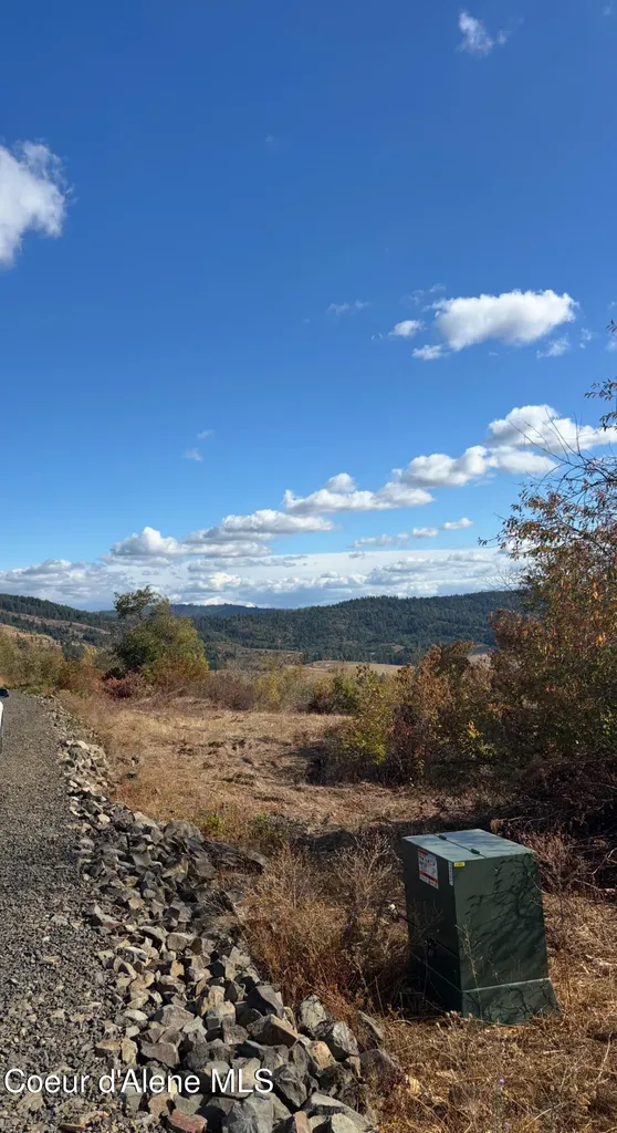 14.75 Acre Treetop Lane Parcel 2 Plummer ID 83851