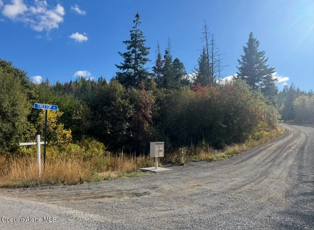 14.75 Acre Treetop Lane Parcel 2 Plummer ID 83851