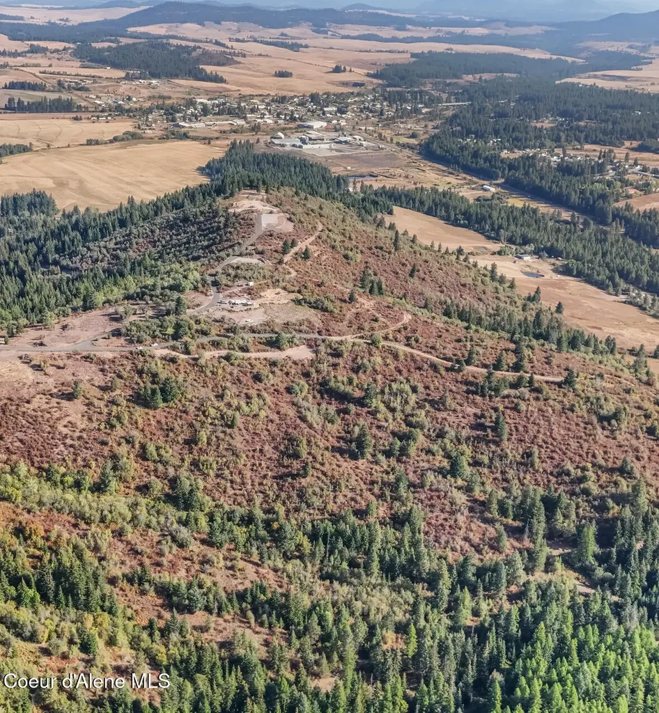14.75 Acre Treetop Lane Parcel 2 Plummer ID 83851