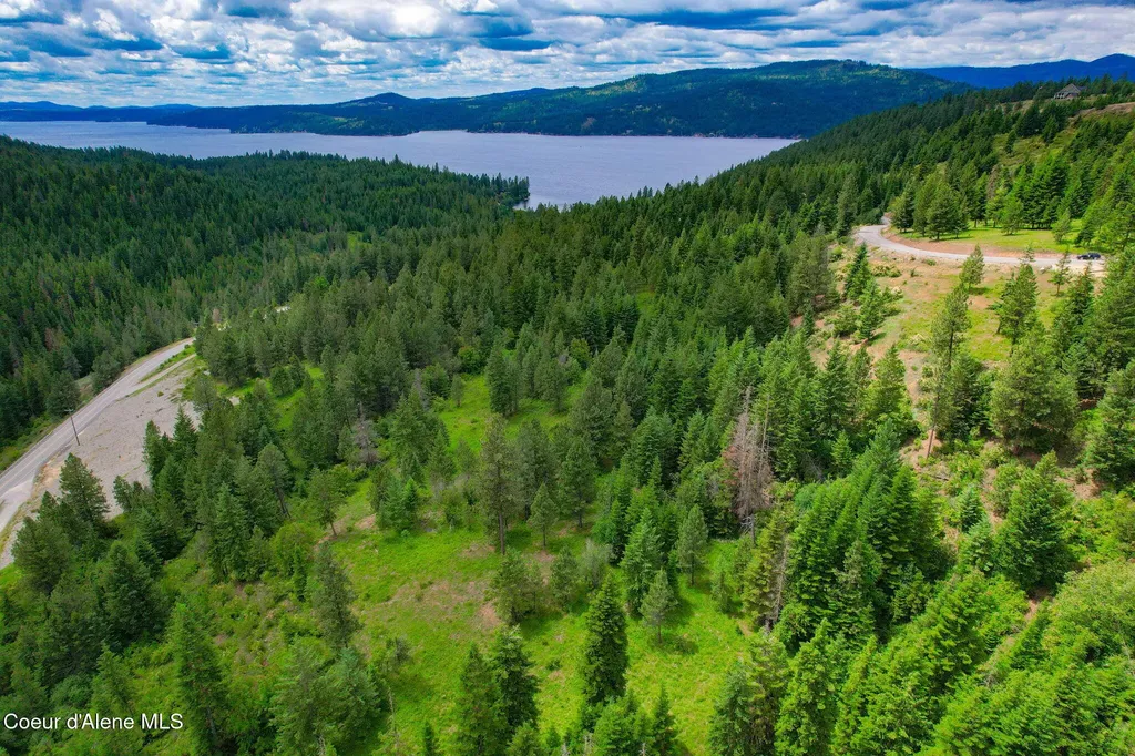 Nka S Skyview Road Harrison ID 83833