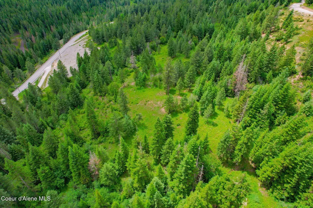 Nka S Skyview Road Harrison ID 83833