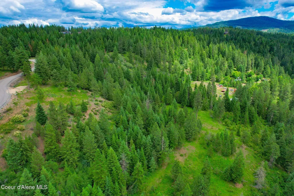 Nka S Skyview Road Harrison ID 83833