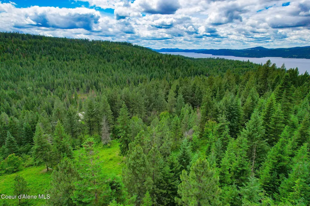 Nka S Skyview Road Harrison ID 83833
