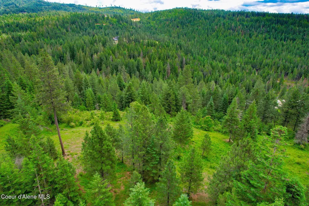 Nka S Skyview Road Harrison ID 83833