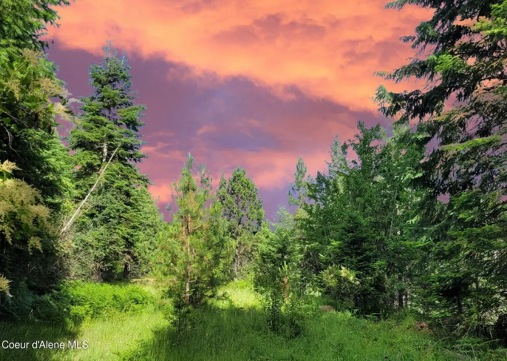 Nka S Skyview Road Harrison ID 83833