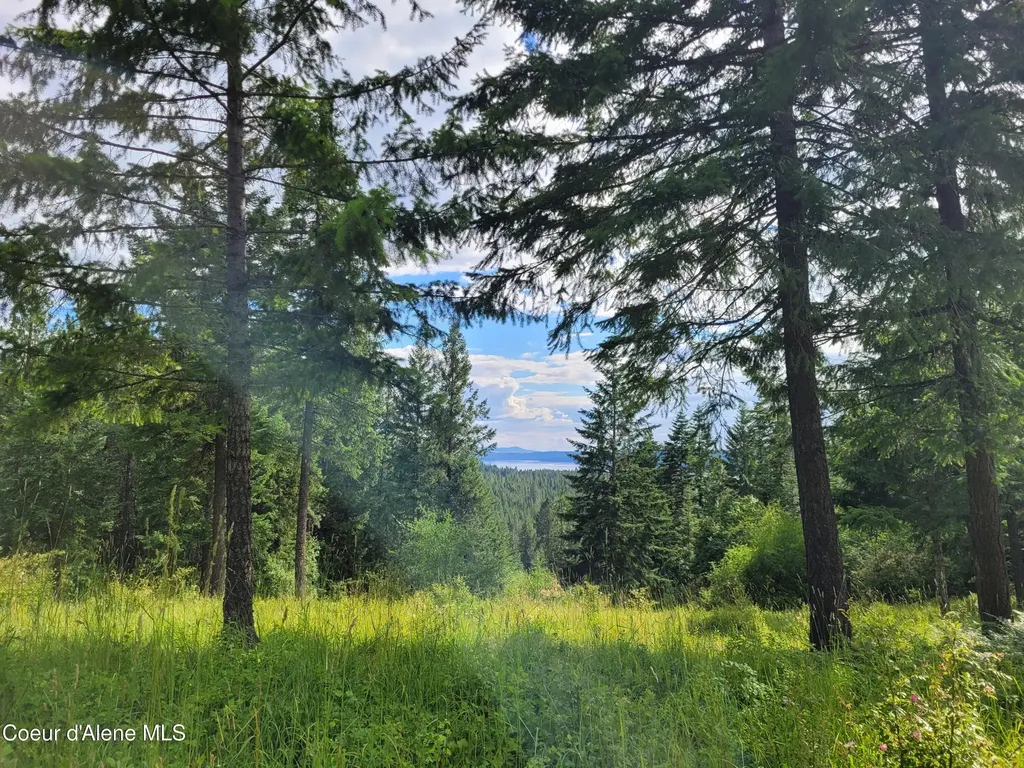 Nka S Skyview Road Harrison ID 83833