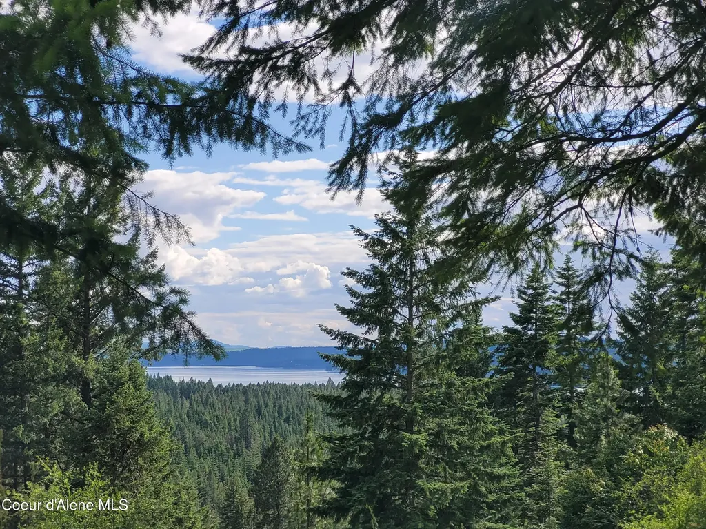 Nka S Skyview Road Harrison ID 83833