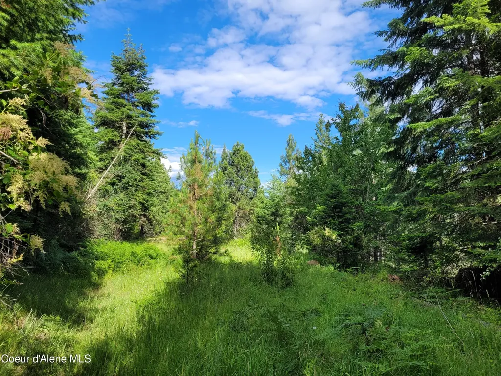 Nka S Skyview Road Harrison ID 83833