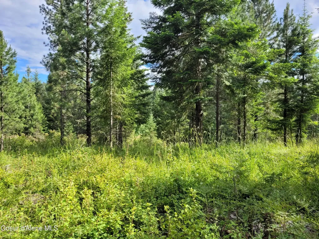 Nka S Skyview Road Harrison ID 83833
