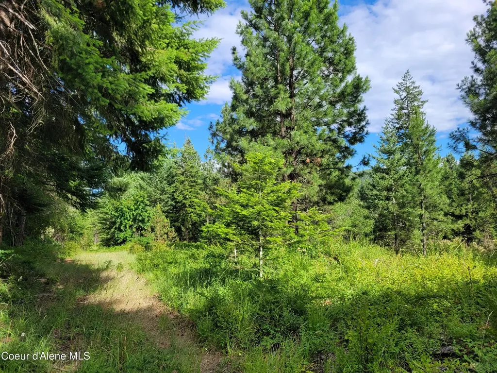 Nka S Skyview Road Harrison ID 83833