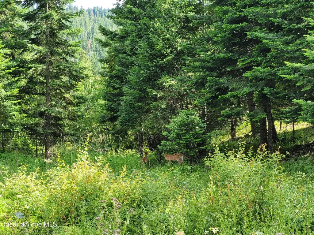 Nka S Skyview Road Harrison ID 83833