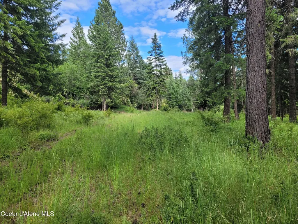 Nka S Skyview Road Harrison ID 83833