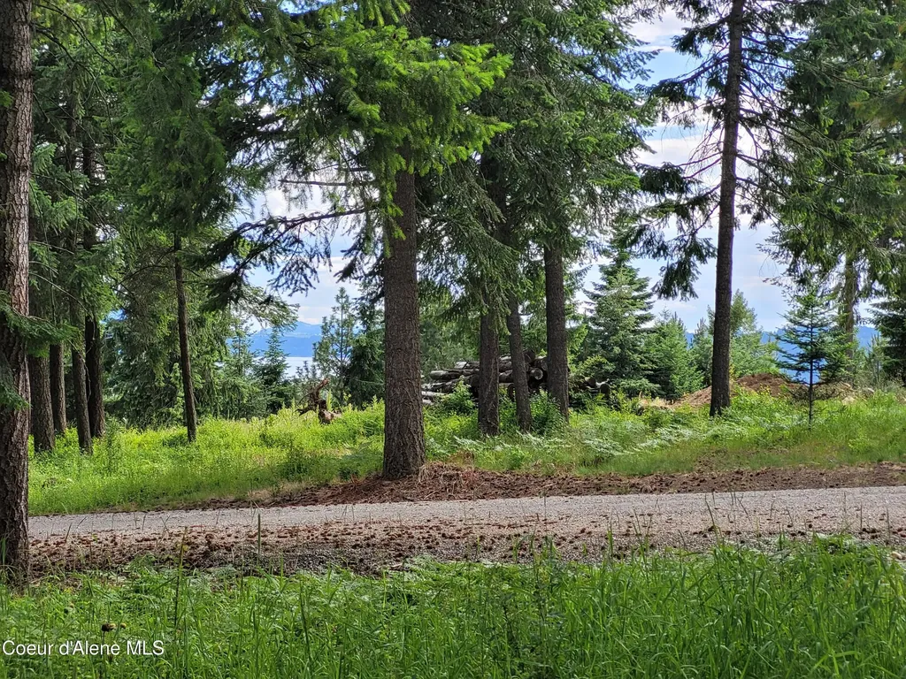 Nka S Skyview Road Harrison ID 83833