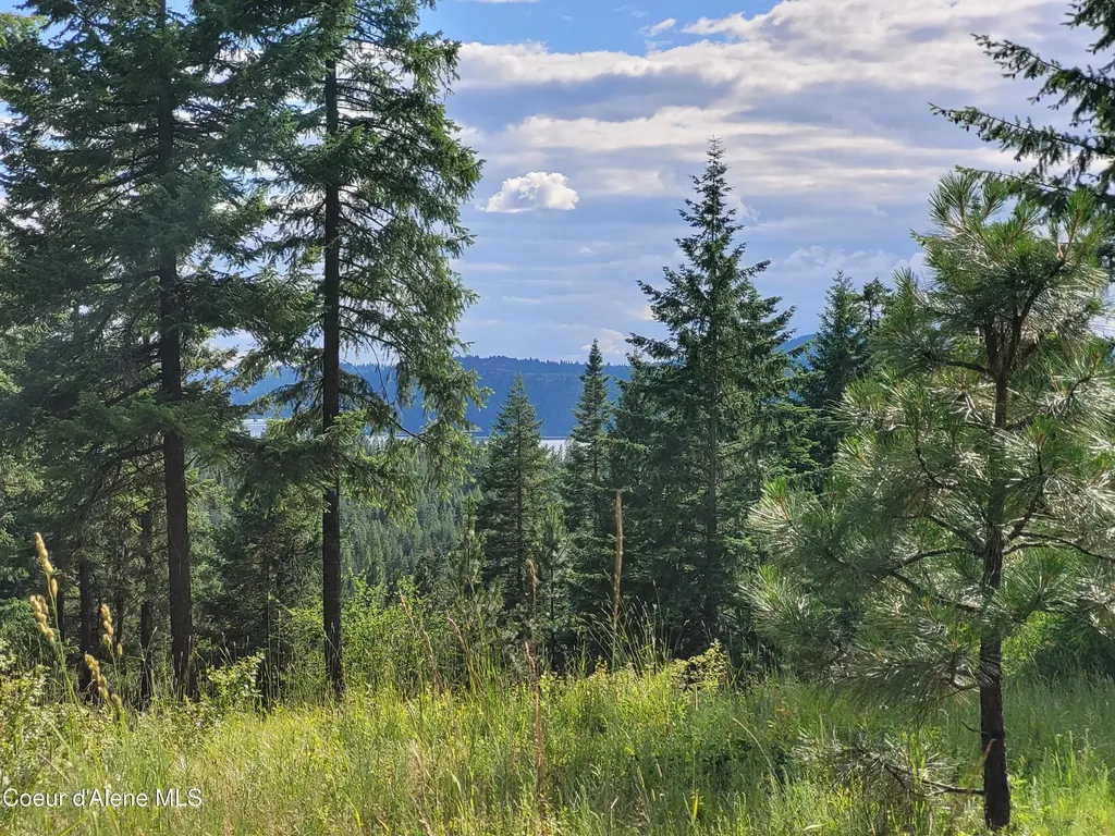Nka S Skyview Road Harrison ID 83833