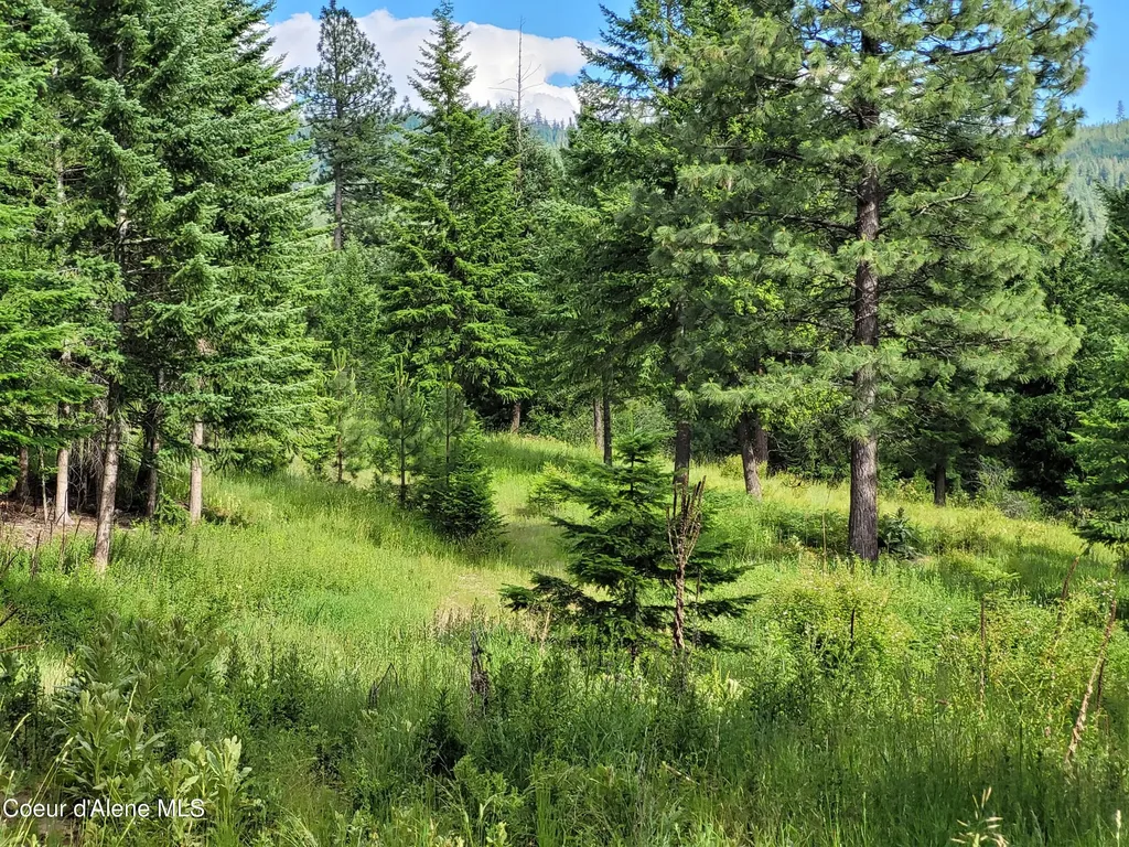 Nka S Skyview Road Harrison ID 83833