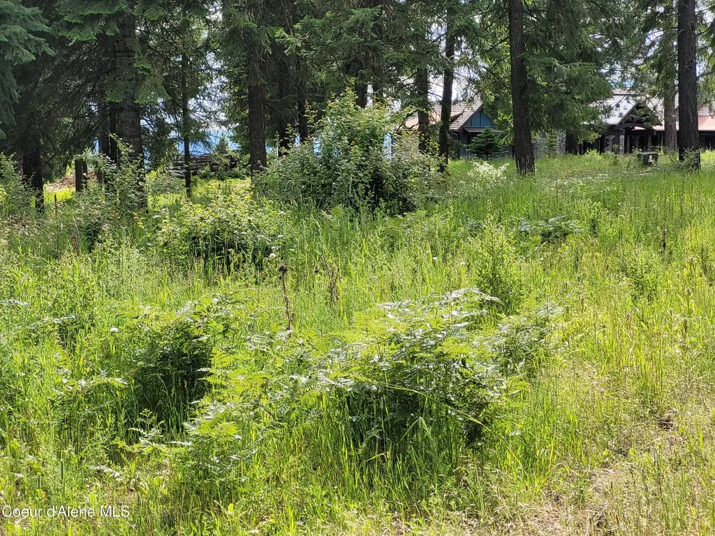 Nka S Skyview Road Harrison ID 83833