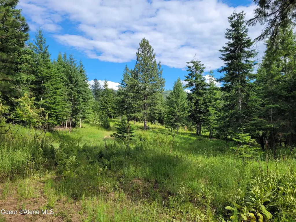 Nka S Skyview Road Harrison ID 83833