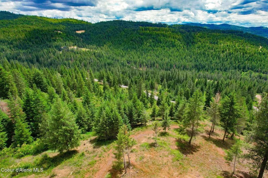 Nka 1a S Skyview Road Harrison ID 83833