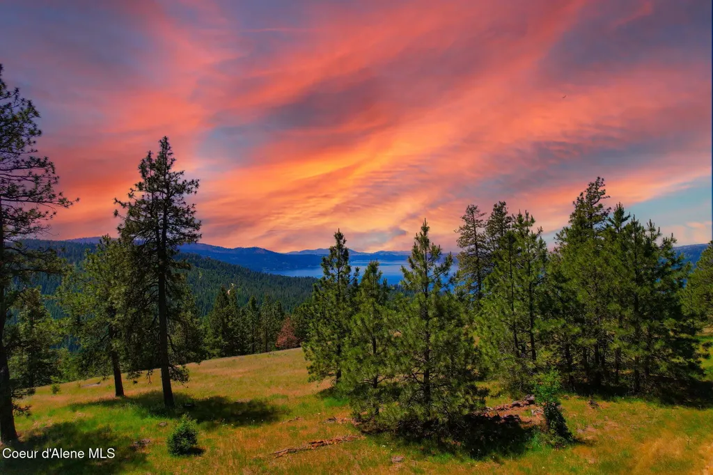 Nka 1a S Skyview Road Harrison ID 83833