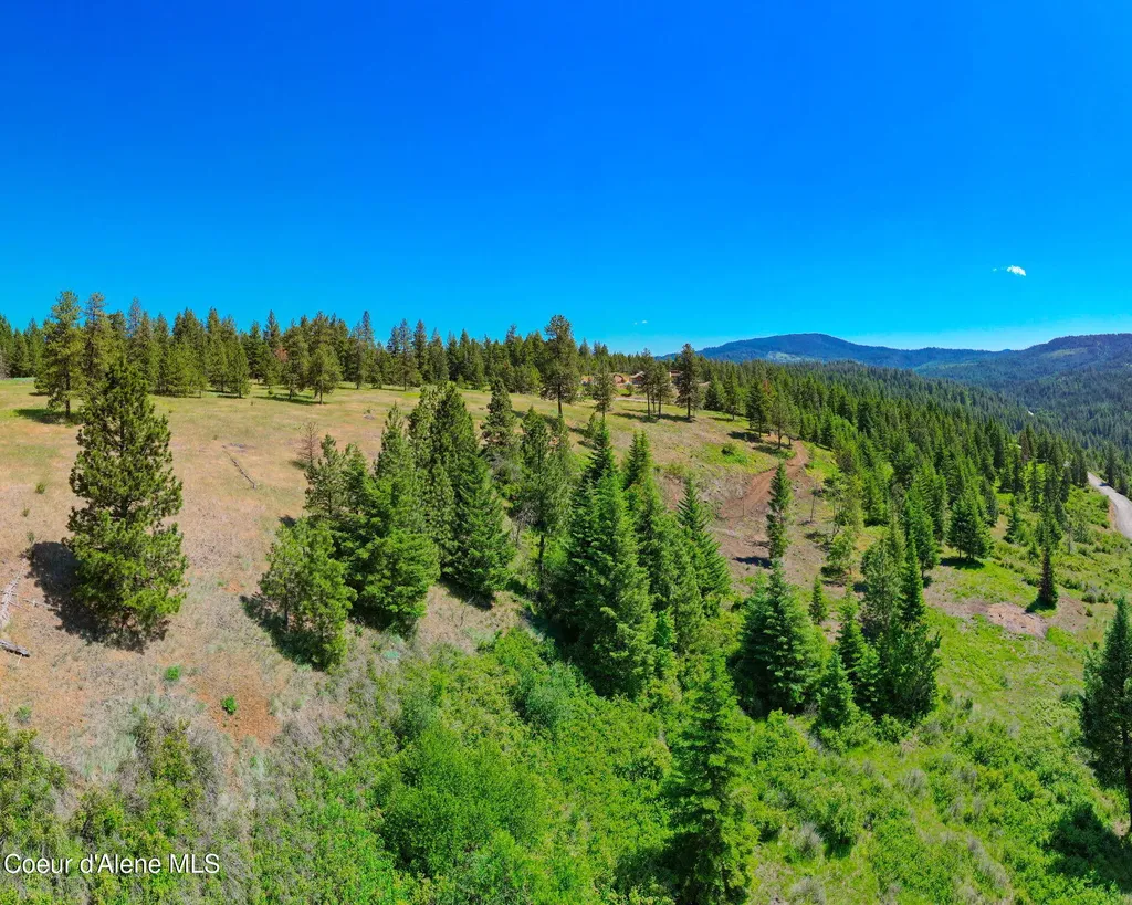 Nka 1a S Skyview Road Harrison ID 83833