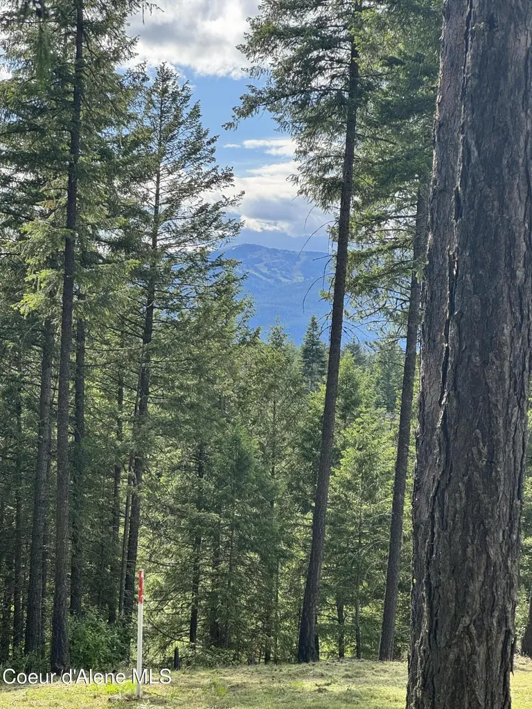 Wildflower Way Sandpoint ID 83864