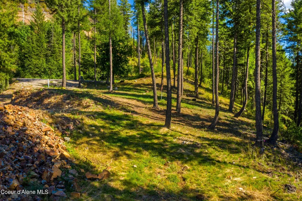 Wildflower Way Sandpoint ID 83864