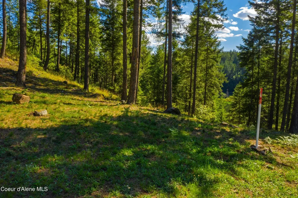 Wildflower Way Sandpoint ID 83864
