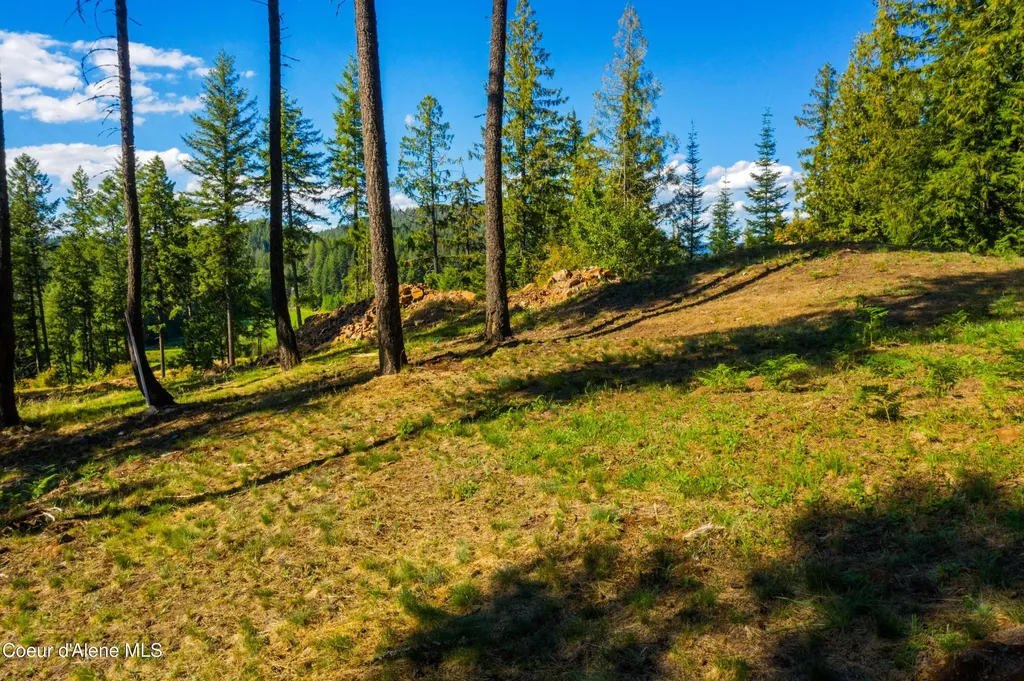 Wildflower Way Sandpoint ID 83864