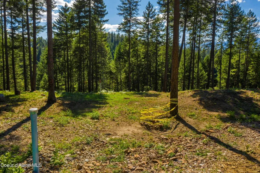 Wildflower Way Sandpoint ID 83864