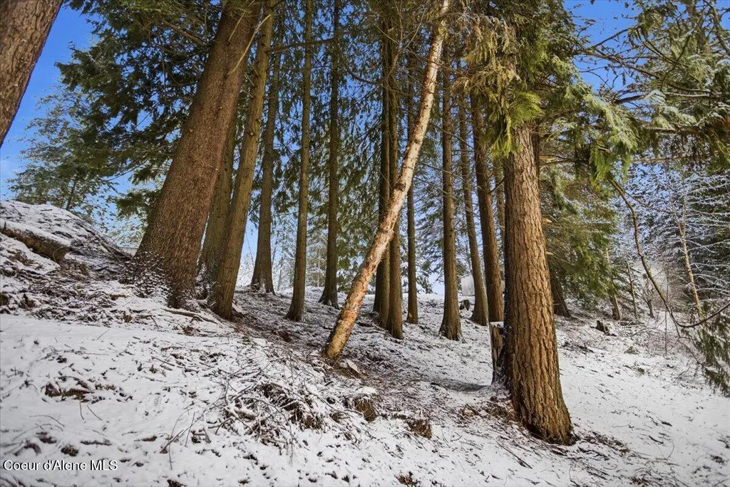 Lot 4 Hidden Harbor Lane Sandpoint ID 83864