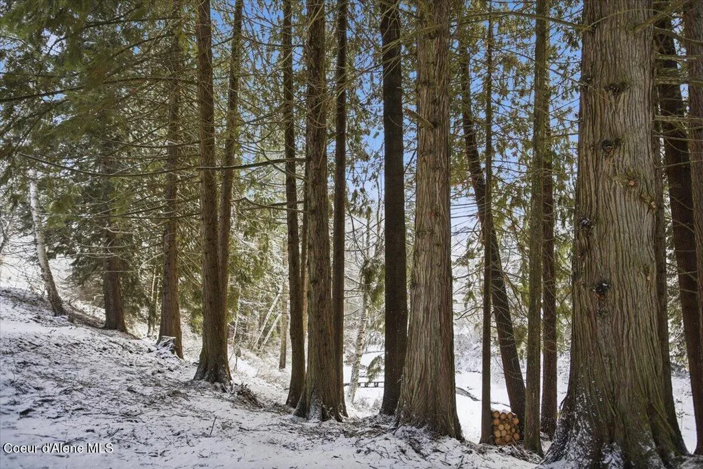 Lot 4 Hidden Harbor Lane Sandpoint ID 83864