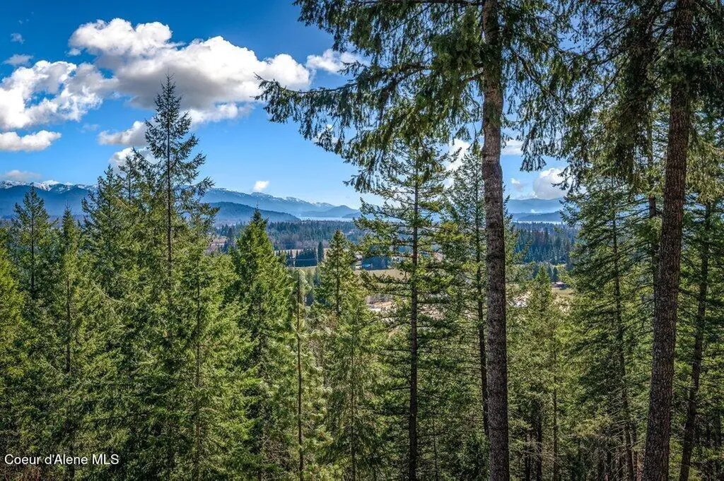614 Granite Ridge Drive Sandpoint ID 83864
