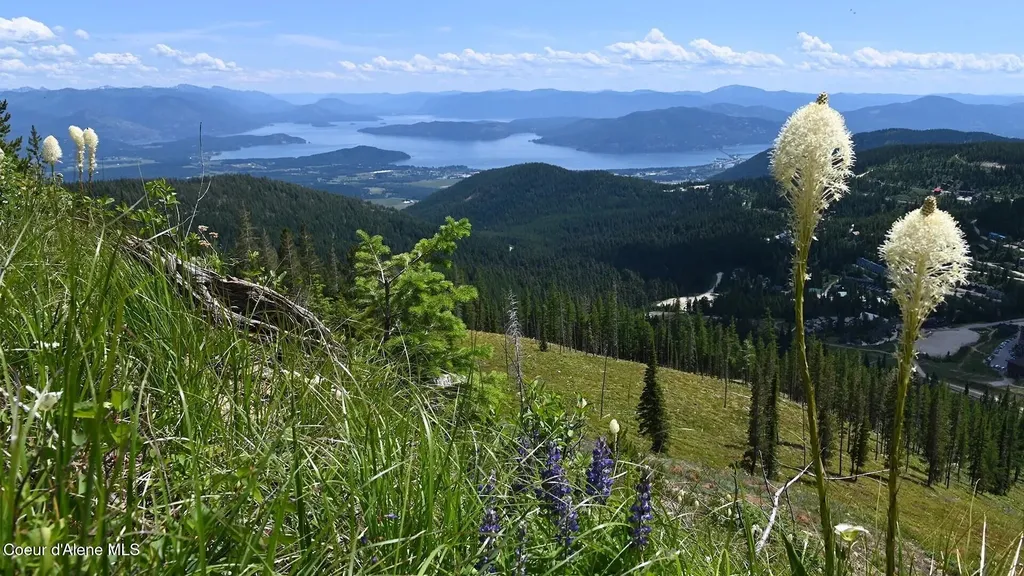 614 Granite Ridge Drive Sandpoint ID 83864