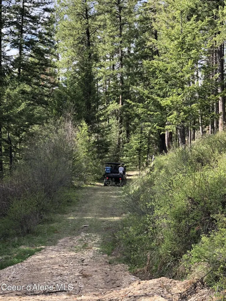 Nna Cda River Drive/mcphee Gulch 9.84 Acres Kingston ID 83839