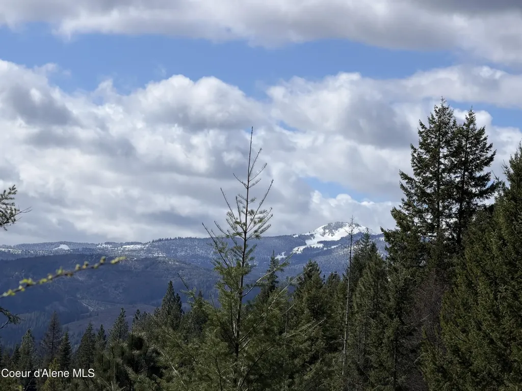 Nna Cda River Drive/mcphee Gulch 9.84 Acres Kingston ID 83839