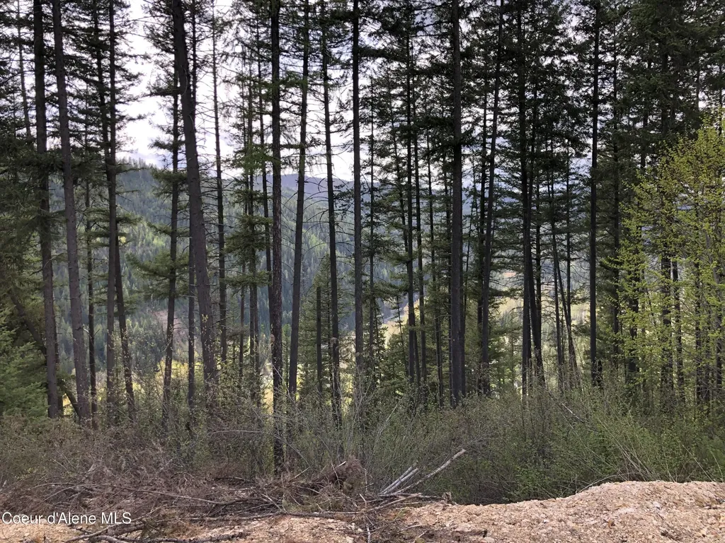 Nna Cda River Drive/mcphee Gulch 9.84 Acres Kingston ID 83839