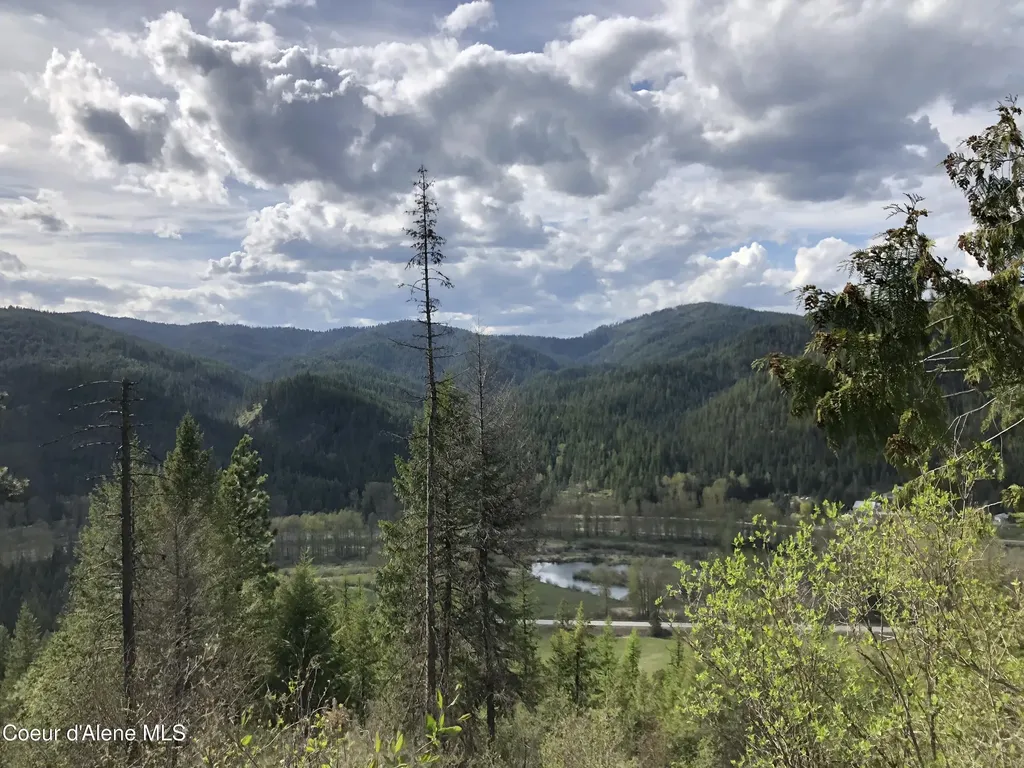 Nna Cda River Drive/mcphee Gulch 9.84 Acres Kingston ID 83839