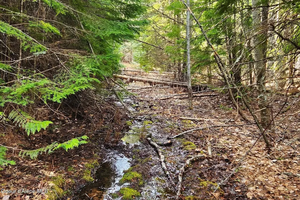 718 Slippery Slope Lot 2 Priest River ID 83856